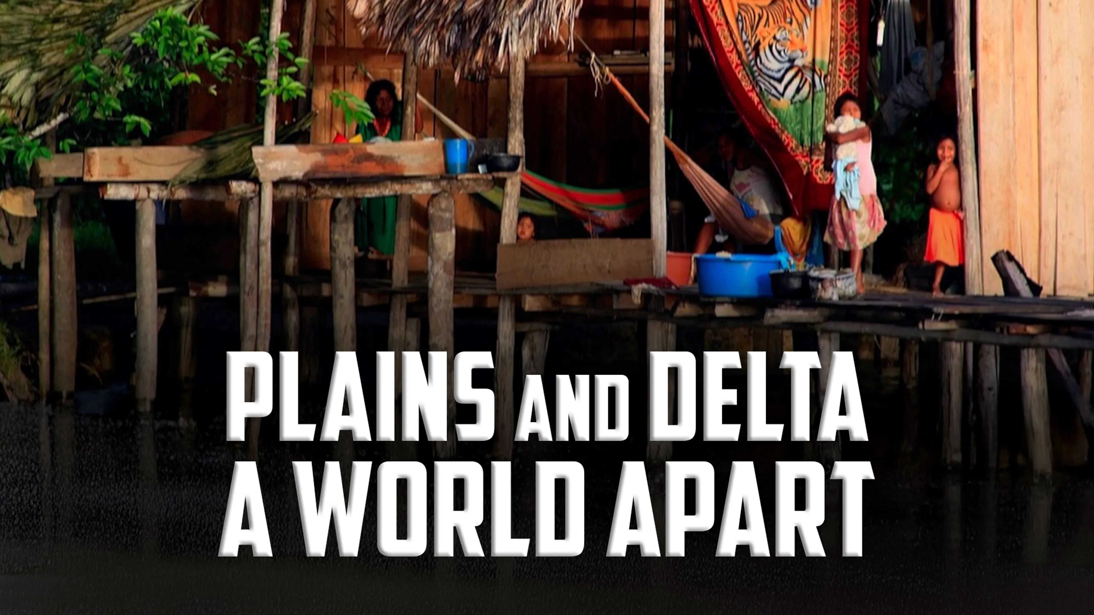 Plains and Delta, a World Apart poster